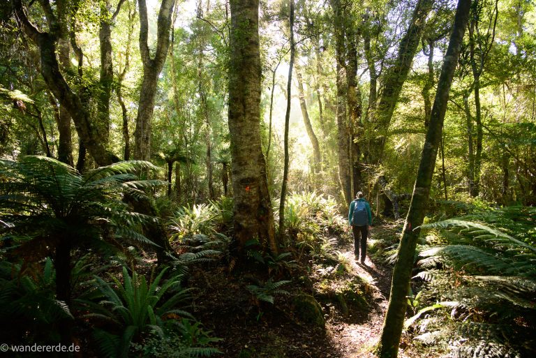 Wanderung auf dem Old Possumers Track in Otago, Neuseeland
